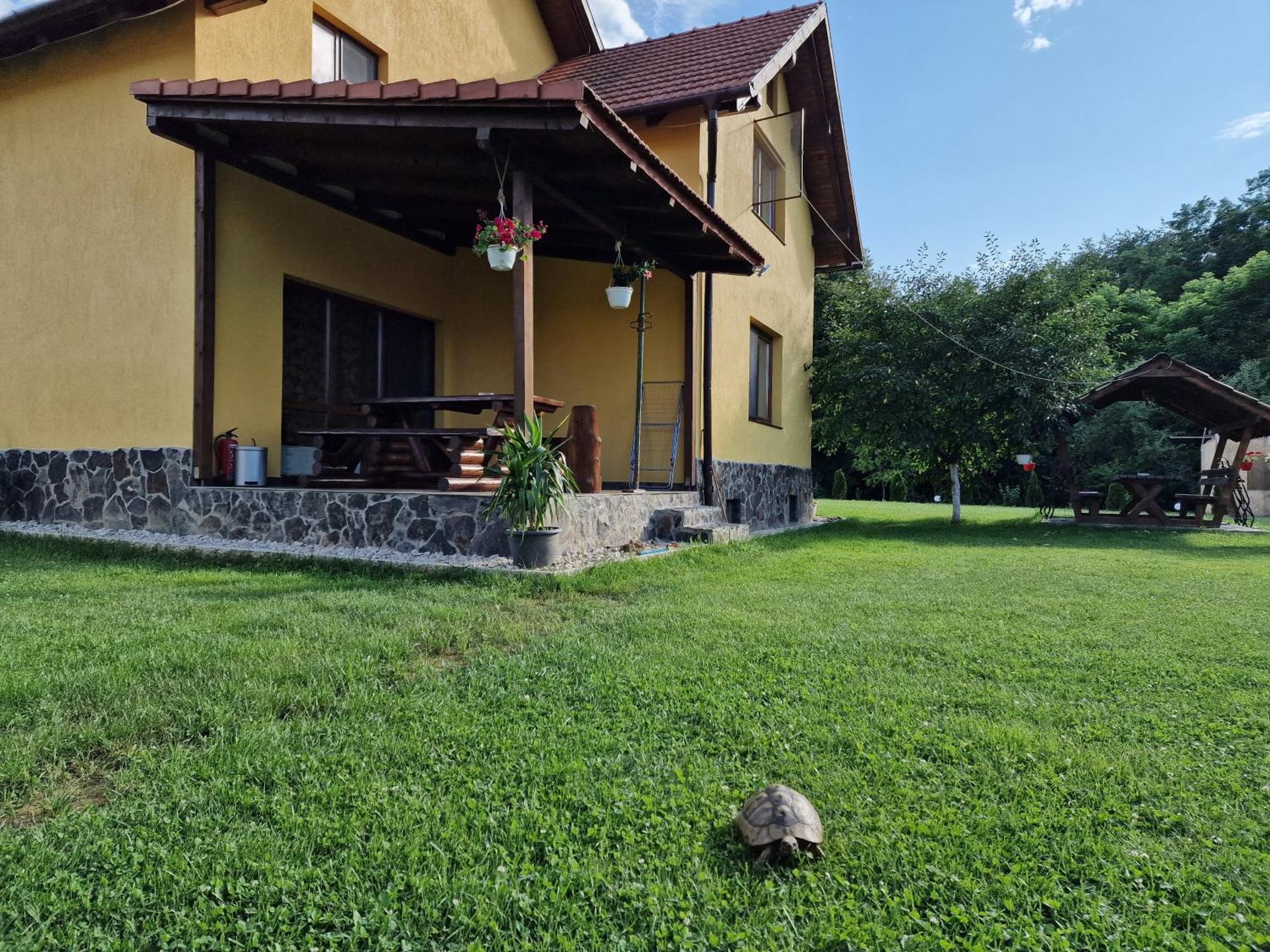 Casa Maya Săsciori Esterno foto